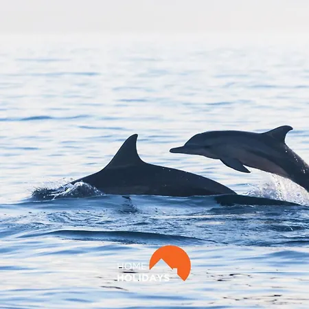 Апартаменты #004 Orada By Holidays Албуфейра